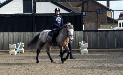 spanish bit adult and child riding lessons